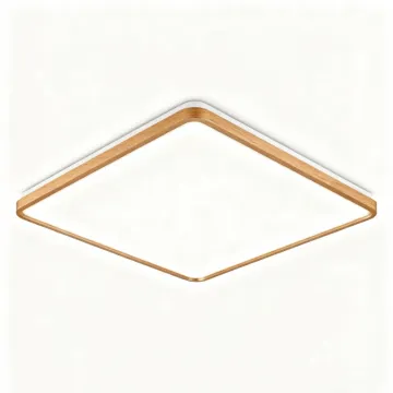 LED Ceiling Light for Decorative Rooms