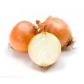 Fresh onion with high quality