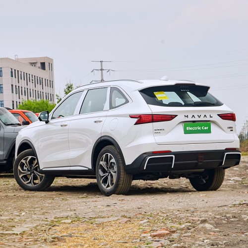 Mid size car haval xiaolong max