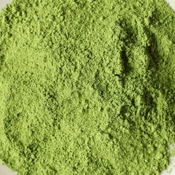 Broco broccoli in polvere essiccata