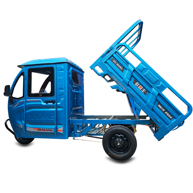 Electric Dump Tricycle: Affordable Enclosed Transport Trolley for Farm Use