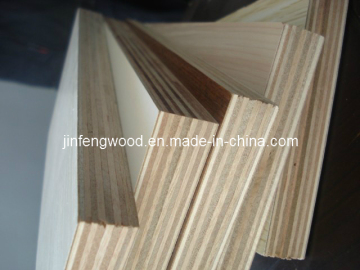 1220*2440mm Exported Standard Furniture Board Hotel Bathroom Cabinet Plywood