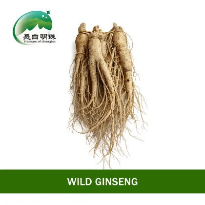 Fine Selected High Grade Ginseng