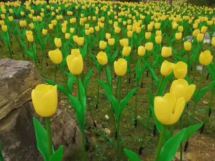 Outdoor Decoration Tulip Light