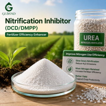 Nitrification Inhibitor DCD DMPP for Long Acting Nitrogen Fertilizer Formulations