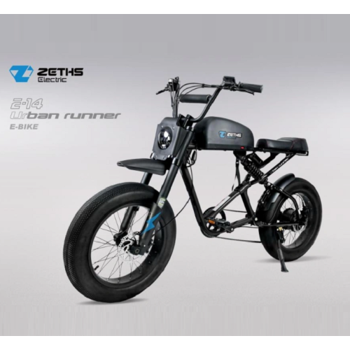 Zero Pollution Electric Bike Urban