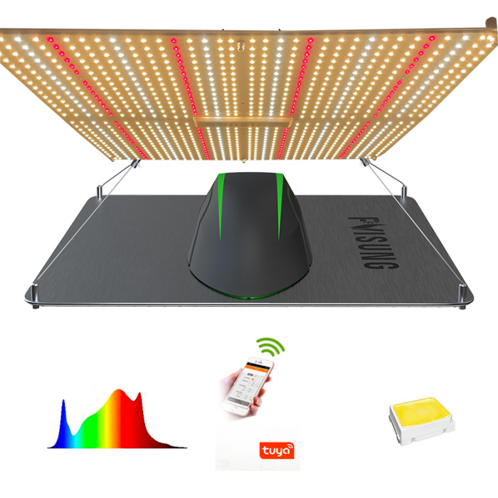 Plant Light Absorption Full Spectrum