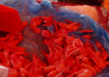 TIGER SHRIMP