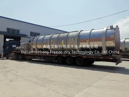 Cranberries Freeze drying equipment