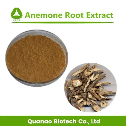 Pure Natural Anemone Root Powder Extract Anemone Extract