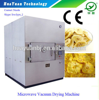 Pineapple/Banana Vacuum Dryer