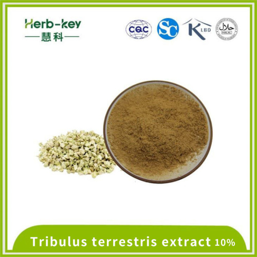 10% Tribulus terrestris Saponin Powder Extract