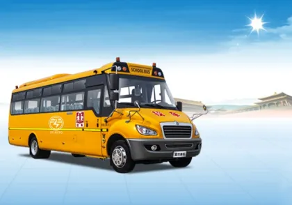 Dongfeng Mini Bus and School Bus Wholesale Sale