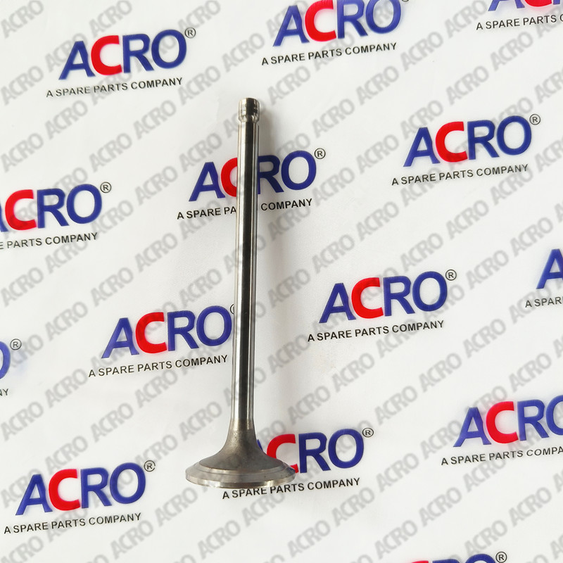 3970727_intake valve_CUMMINS (1)_