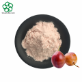 ISO Certified Prune Fruit Powder pour boissons