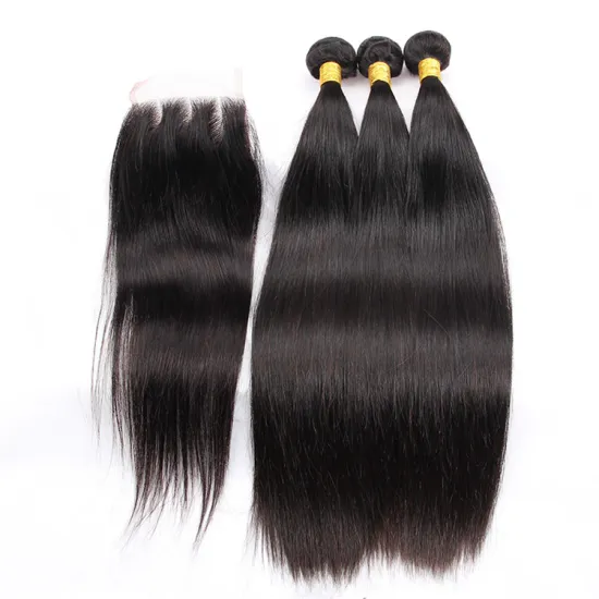 Alley express 12a south africa remy straight human weave bundles virgin malaysian hair with closure