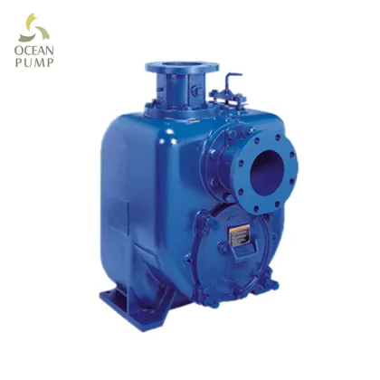 Self-priming solid conveying pump