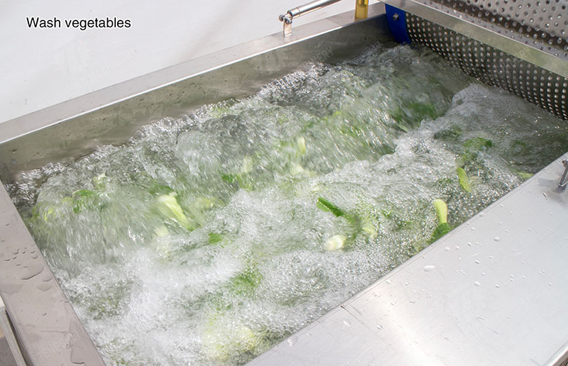 continuous vegetable washing machine