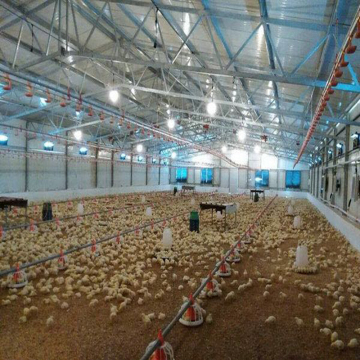 Prefabricated Steel Structure Chicken Broiler House Shed
