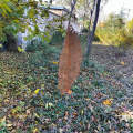 Corten Steel Decorative Lace Leaf Sculpture