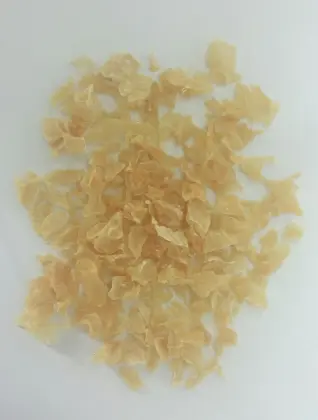 Cat snacks shrimp/prawn natural