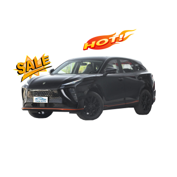 Dongfeng Fengxing Leiting 2024 New Energy Vehicles