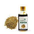 Aromatherapy Coriander oil seed extract essential oil