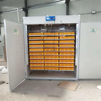 Egg Incubators Direct: Your Source for Hatching Equipment