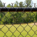 PVC Covered Electro Galvanized Link Link Fence