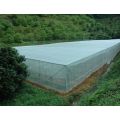 greenhouse plastic insect screen