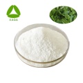 استخراج Andrographis مسحوق Andrographolide