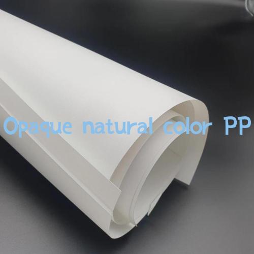 Opaque thermoformed natural color PP sheet