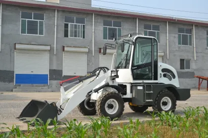 OCL08 800kg case snow plow planetary gear loader