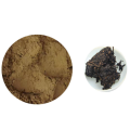 black tea extract powder Black Tea Extract