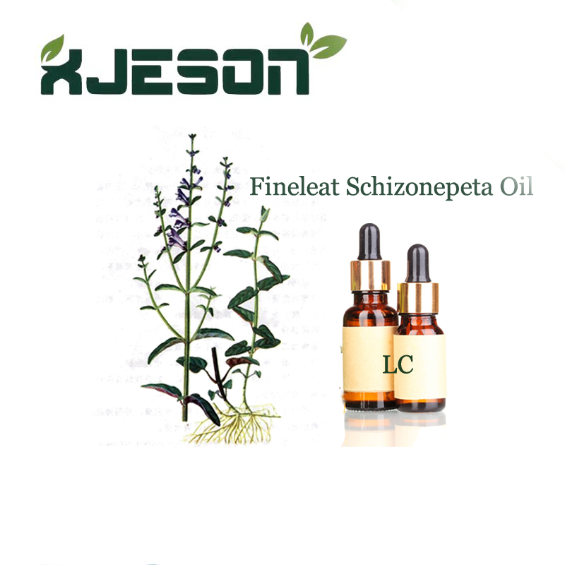 Pure Fineleat Schizonepeta Oil