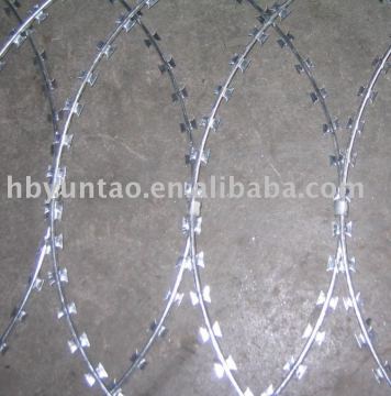 high quality razor wire prison fence(factory)
