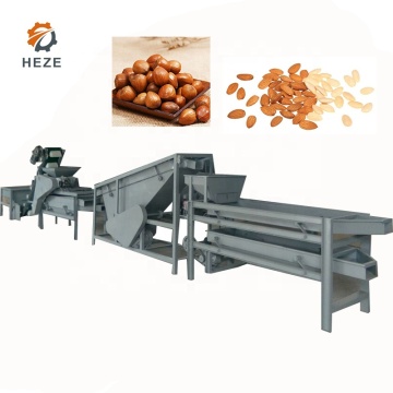 Almond Peeling and Cracking Machines: Prices for Nut Processing Equipment