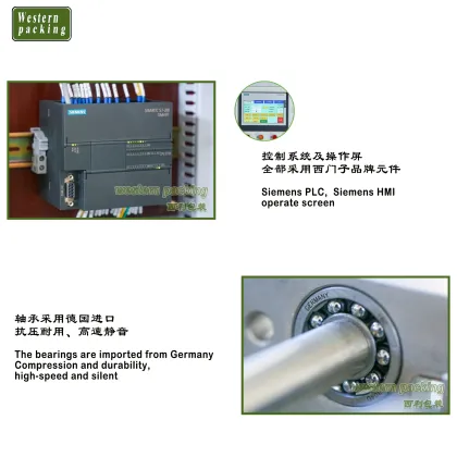 10 Gram Sauce Packing Machines - Fish Sauce Filling and Packing Machine