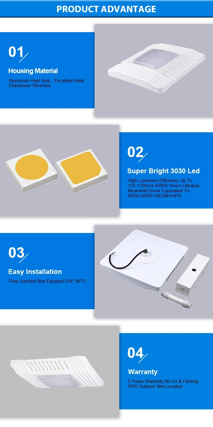 Canopy Ceiling Light