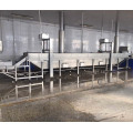 Industrial Fruit And Vegetable Blanching Equipment