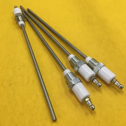 Beru Ceramic Electrode for High-Performance Ignition Systems