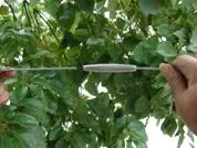 Gripple Wire and Wire Rope Solutions