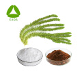 Huperzine A 0.1%-98% Huperzia Serrata Extract Powder