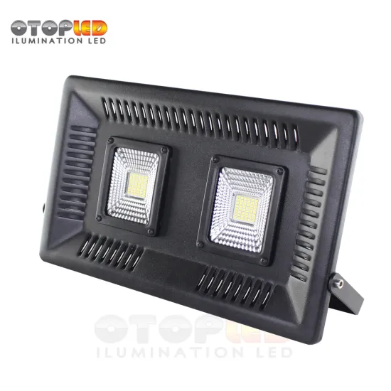 100W LED Flood Light