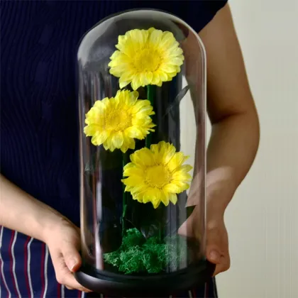 Unique Glass Dome Sunflower - Eternal Blooms Hot Sale