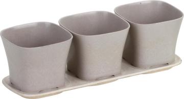 Three pots with one mat meaty plants pot