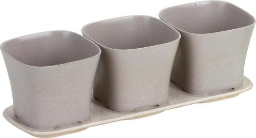Tre vasi con una pentola piante carnosa stuoia