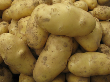 2013 Fresh Potato