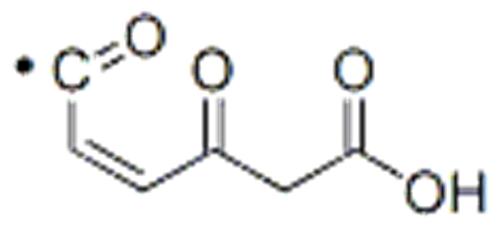 2-Hexenedioic acid,4-oxo-,( 57251736,2Z)- CAS 24740-88-3