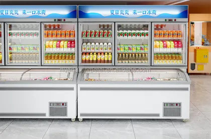 Commercial Vertical Refrigeration Double-Temperature Beverage Freezer Cabinet